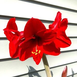 Meet your Posher, Je